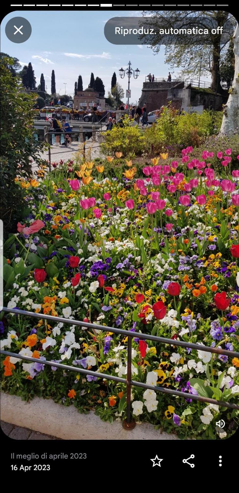 Appartamento ROSY Peschiera del Garda Esterno foto